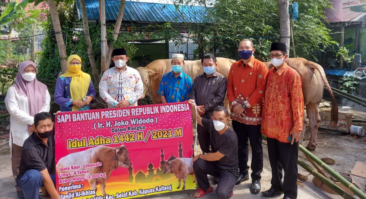 MENYALURKAN: Wakil Gubernur Kalteng H Edy Pratowo didampingi Ketua DPRD Kalteng Wiyatno beserta jajaran salurkan bantuan hewan qurban di Kabupaten Kapuas, Minggu (18/7). (FOTO: DPRD UNTUK KALTENG POS)