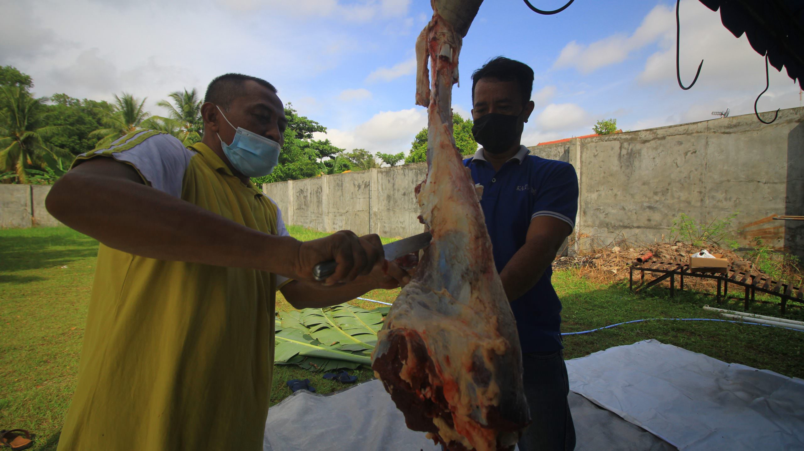 KURBAN: Panitia memotong daging sapi untuk dibagikan kepada warga dan karyawan, Rabu (21/7). Kalteng Pos menerima dua ekor sapi dari Bank Kalteng dan Gubernur Kalteng H Sugianto Sabran melalui Dinas PUPR untuk dikurbankan disalurkan. (FOTO: DENAR/ KALTENG POS)