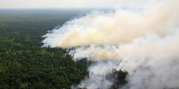 MOMEN KELAM: Kebakaran hutan yang terjadi di wilayah Kabupaten Kapuas pada 2019 lalu. (FOTO: DENAR/KALTENG POS)