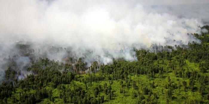 MOMEN KELAM: Kebakaran hutan yang terjadi di wilayah Kabupaten Kapuas pada 2019 lalu. (FOTO: DENAR/KALTENG POS)