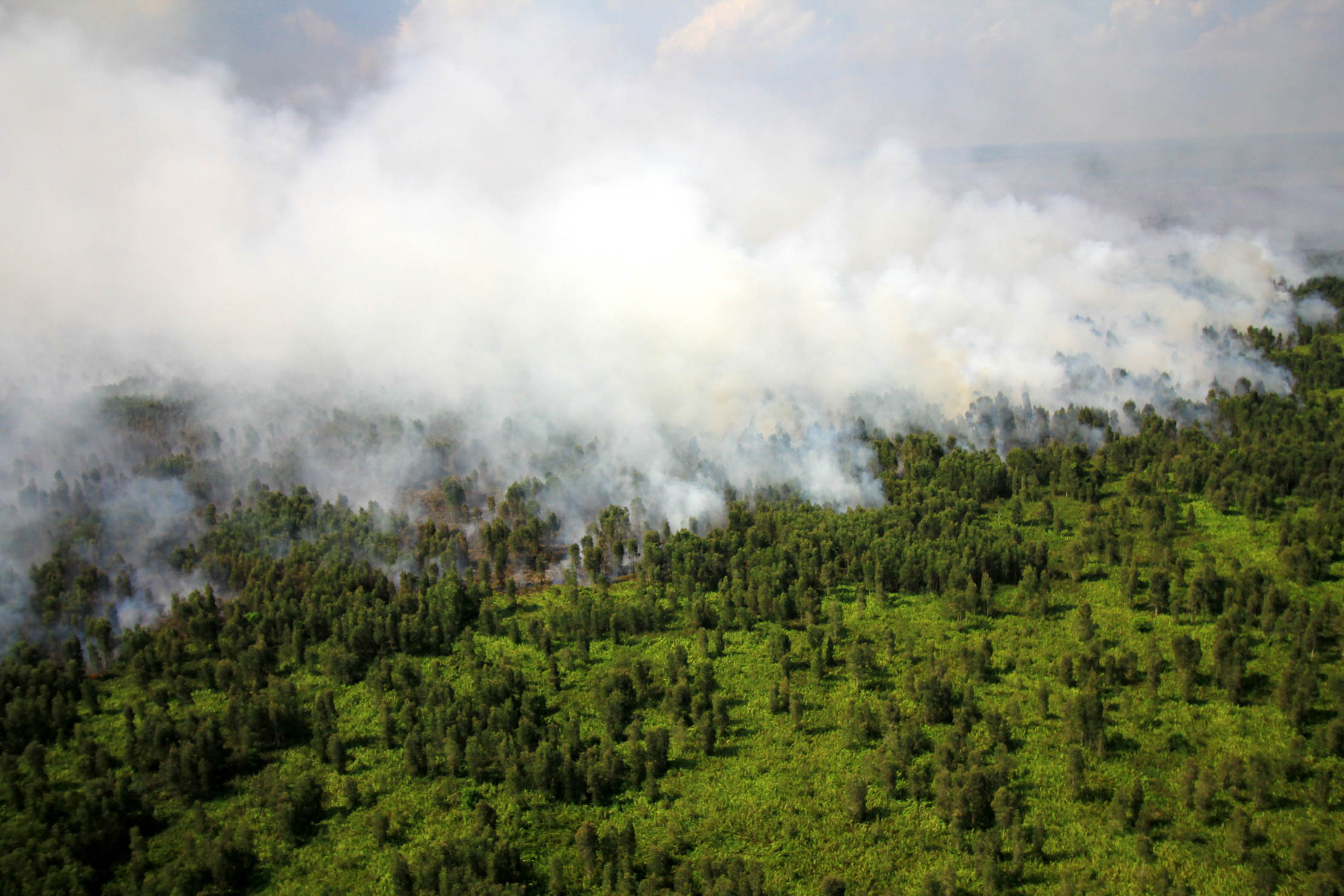 MOMEN KELAM: Kebakaran hutan yang terjadi di wilayah Kabupaten Kapuas pada 2019 lalu. (FOTO: DENAR/KALTENG POS)
