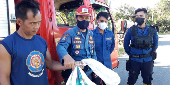 SIGAP: Tim Resque 112 Damkar Kota Palangka Raya mengevakuasi ular jenis piton dengan panjang kurang lebih 1 meter di depan rumah warga Jalan Rajawali III. (FOTO: DAMKAR KOTA UNTUK KALTENG POS)