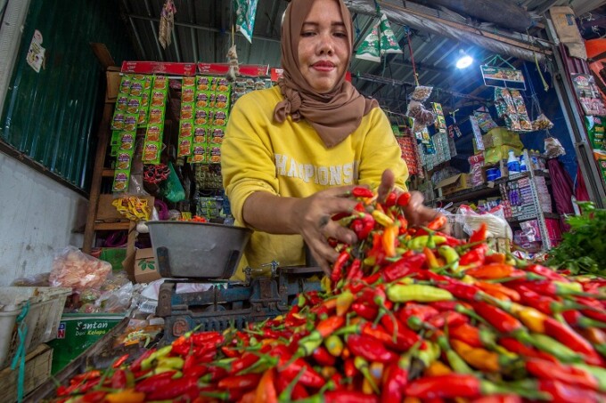 Menjelang Nataru, Beberapa Bahan Pokok Melonjak, Termasuk Cabai