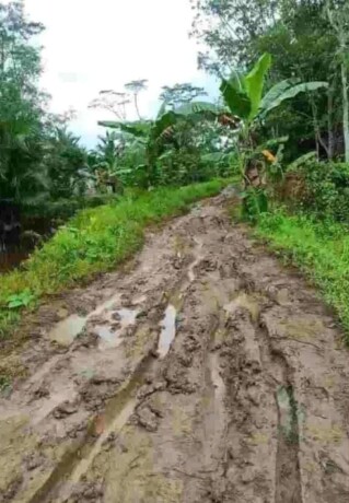 RUSAK: Kondisi jalan menuju Desa Sei Jangkit yang rusak parah.