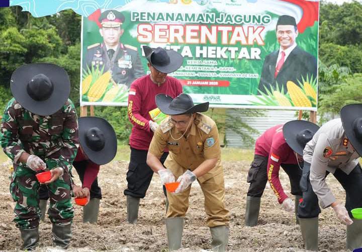 TANAM JAGUNG : Pemerintah Kabupaten Lamandau bersama kepolisian setempat menanam bibit jagung di lahan Kompleks Mapolres Lamandau, belum lama ini.