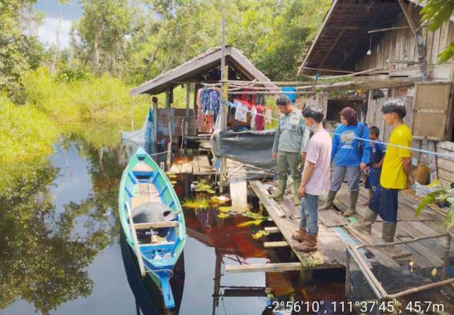 Tim bersama warga melakukan upaya penangkapan buaya yang sempat menggigit dan meresahkan masyarakat Sei Benipah Desa Kubu, beberapa waktu lalu.