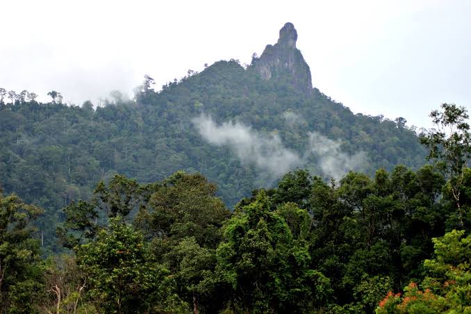 Salah satu pendakian epic di Bukit Kubau Lamandau