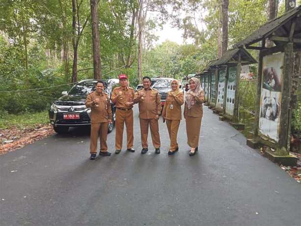 hutan kalteng